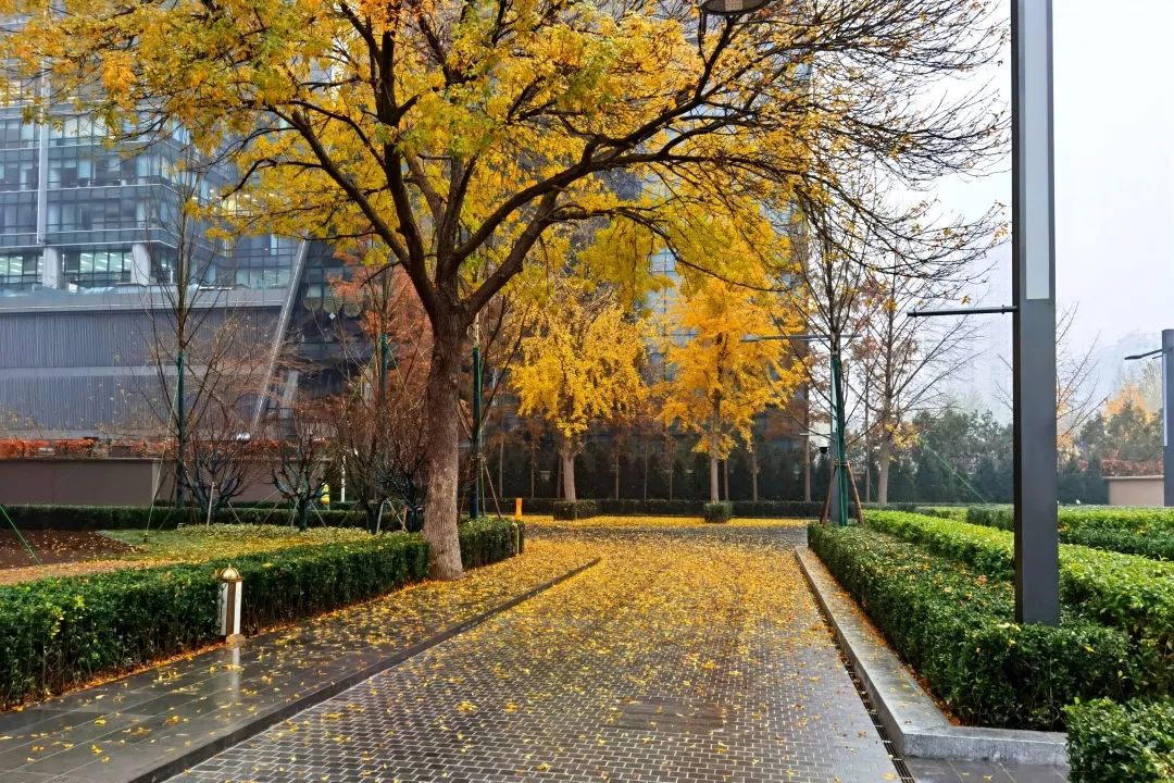 国贸公寓 (2).jpg